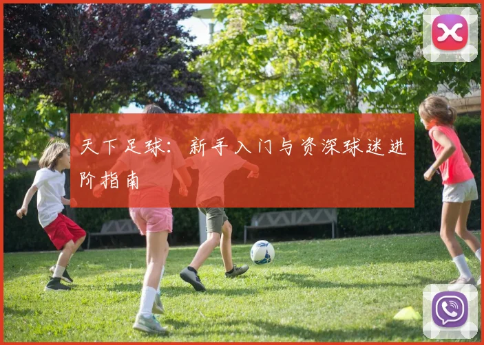 天下足球:新手入门与资深球迷进阶指南