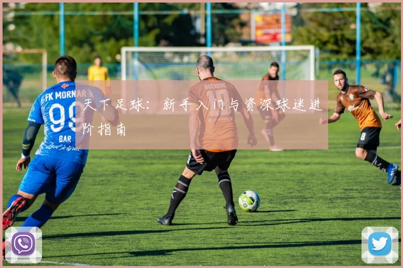 天下足球：新手入门与资深球迷进阶指南